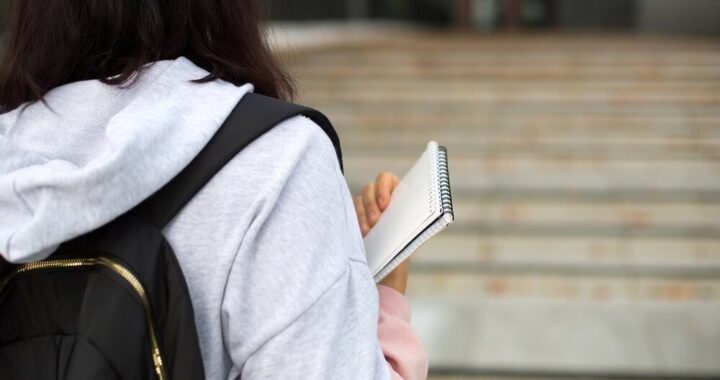 p----kolonie-dla-dzieci-w-radzionkowie--ferie-pe---auto-3501